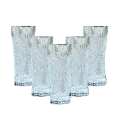 Pack de 6 Verres pour jus  GLASSWARE