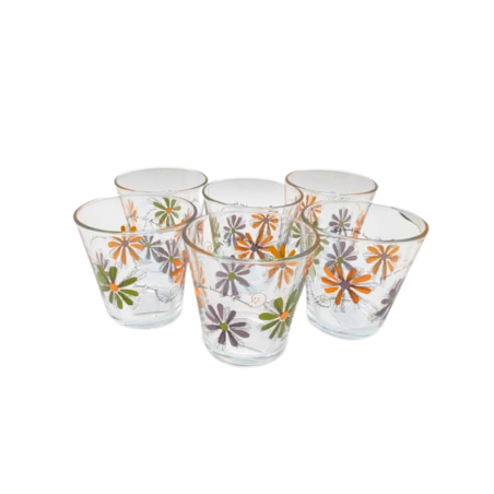 Ensemble de 6 verre Deli glassware stylé