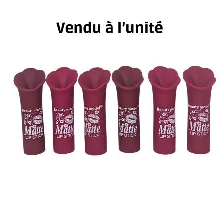 Rose à lèvre matte beauty model N°1