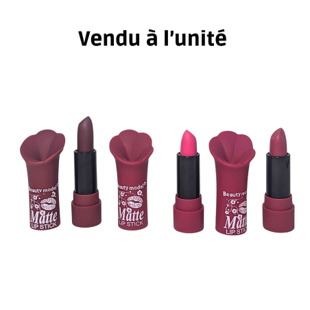 Rose à lèvre matte beauty model N°1
