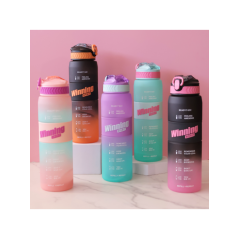Gourde Winning Sport Mauve - vert 1 L