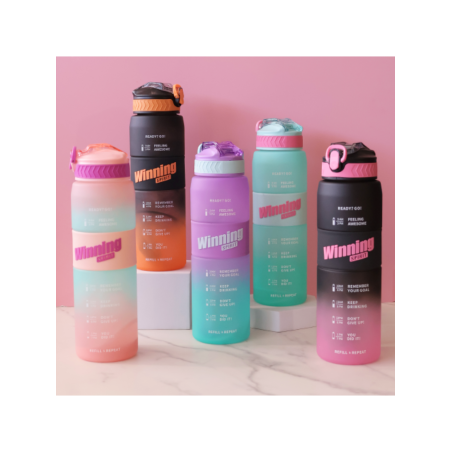 Gourde Winning Sport Mauve - vert 1 L