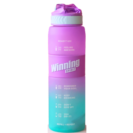 Gourde Winning Sport Mauve - vert 1 L