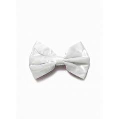 Barrette à nœud Lady bosse Blanc