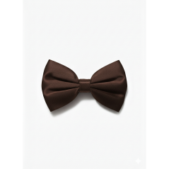 Barrette à nœud Lady boss Marron