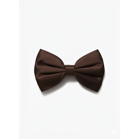 Barrette à nœud Lady boss Marron