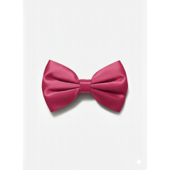 Barrette à nœud Lady boss Rose