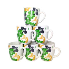 Pack de 6 Tasses Nafi 6