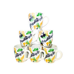 Pack de 6 Tasses Nafi 8