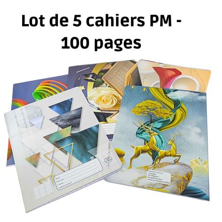 Lot de 5 cahiers PM - 100 pages