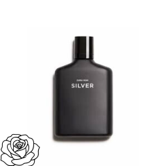 Parfum ZARA homme SILVER 90ML