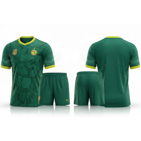 Maillot Sénégal vert + Short Taille L