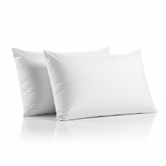 Lot de 2 Oreillers 45 x 70 cm