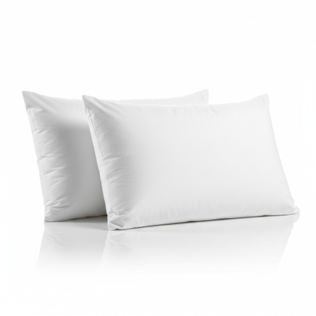 Lot de 2 Oreillers 45 x 70 cm