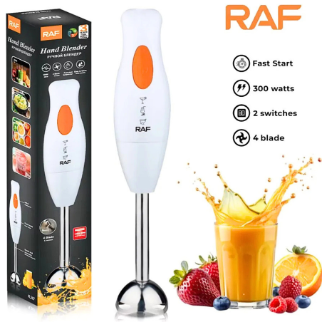 Mixeur plongeant RAF